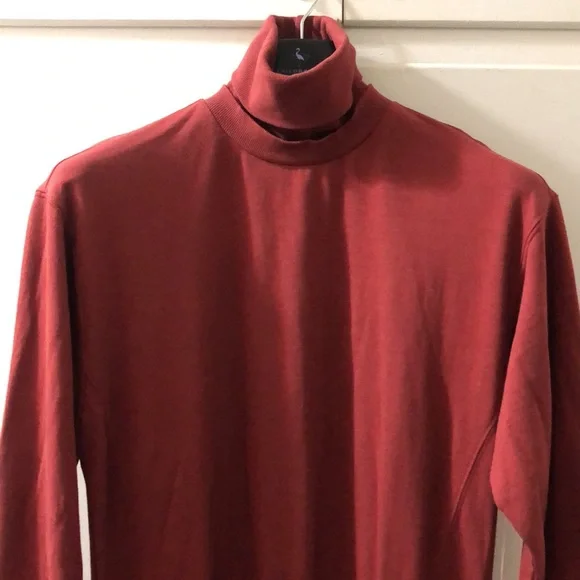 YOUNG FABULOUS & BROKE TURTLENECK MINI DRESS/NWT - Picture 5 of 16